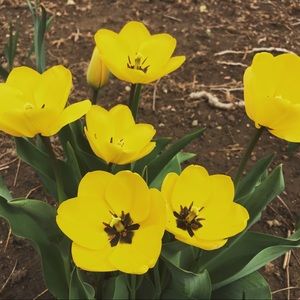 Meet your Posher, Ali